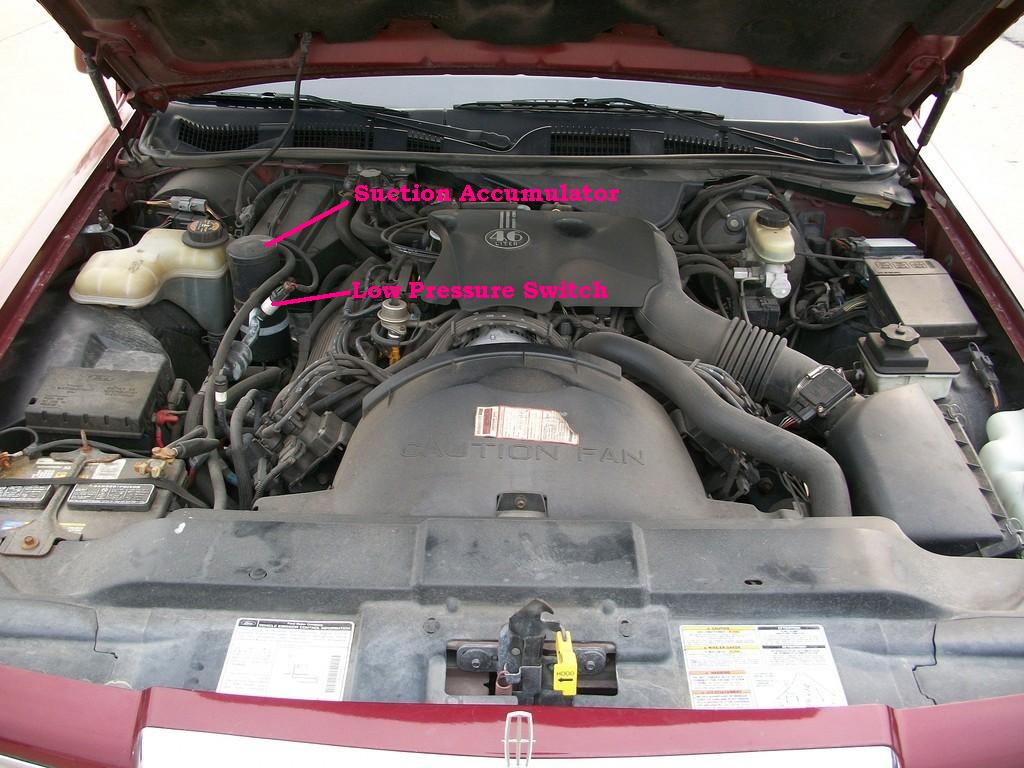 Index of /lincoln/pictures9